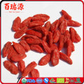 names of all dry fruits 2017 new goji berry organic vegetable namefs of red fruits